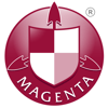 MS-Logo-Jun-2021-01-1